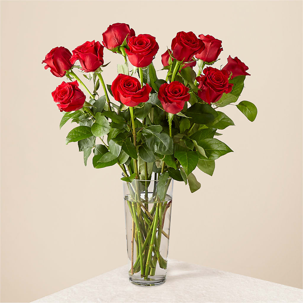 Long Stem Red Rose Bouquet – Perkins Floral, Greenville MS