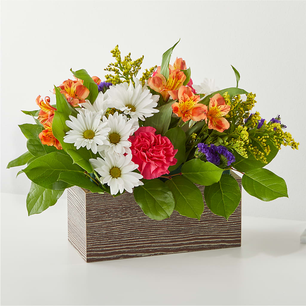 Oopsie Daisy Box Bouquet – Perkins Floral, Greenville MS