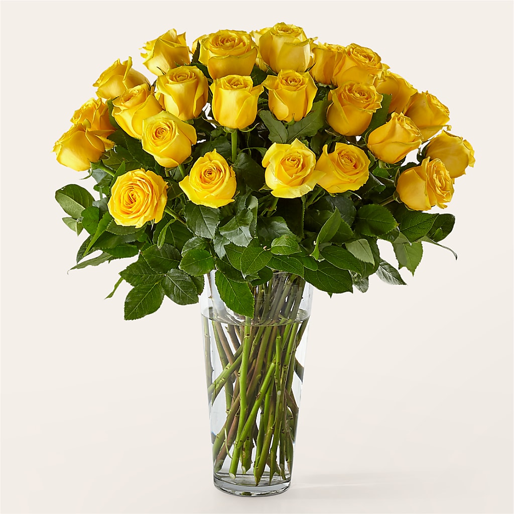 Long Stem Yellow Rose Bouquet – Perkins Floral, Greenville MS