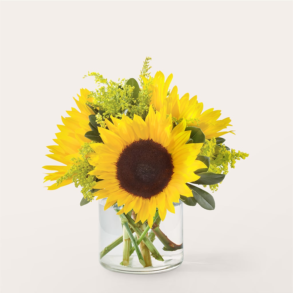 Beaming Sunflower Bouquet – Perkins Floral, Greenville MS