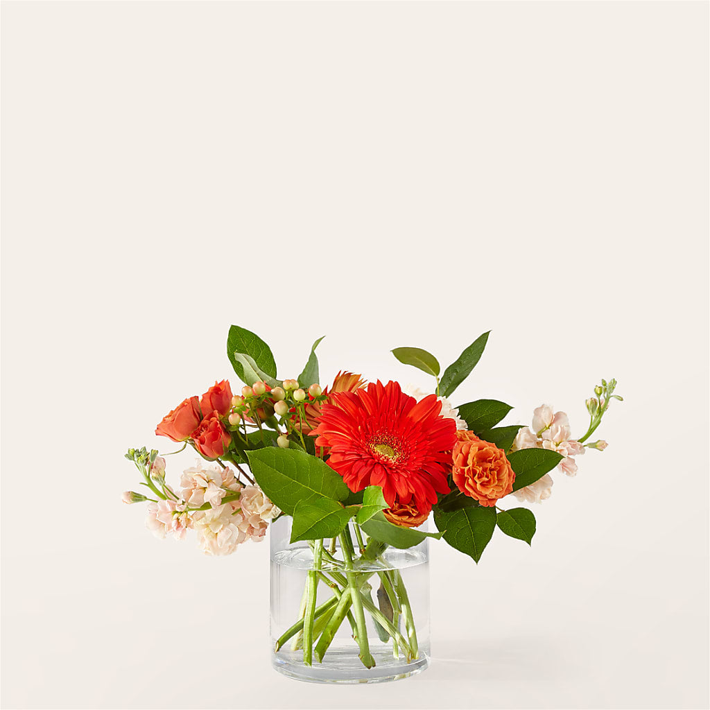 Paloma Please Bouquet – Perkins Floral, Greenville MS