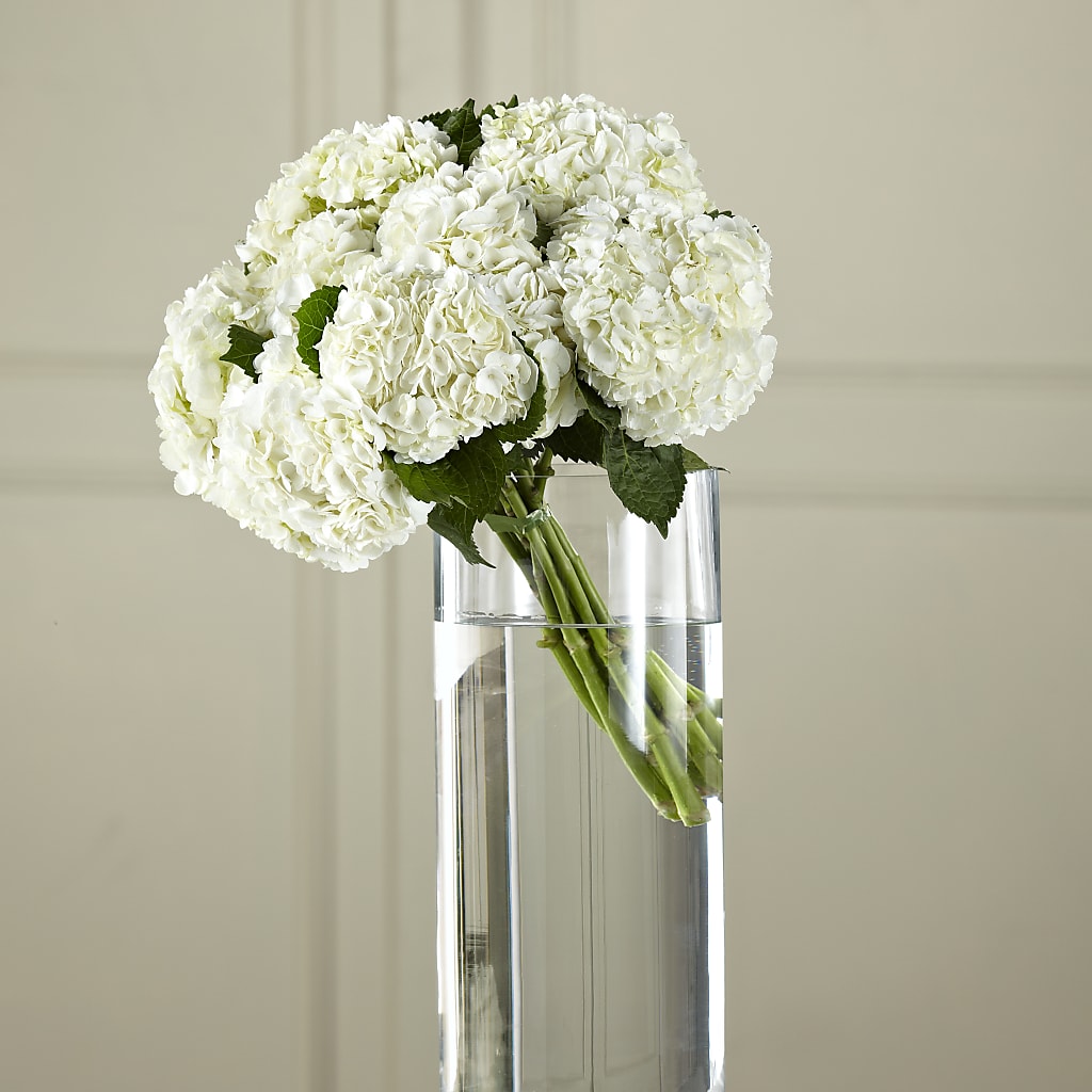 White Hydrangea Hand-Tied Bouquet – Perkins Floral, Greenville MS