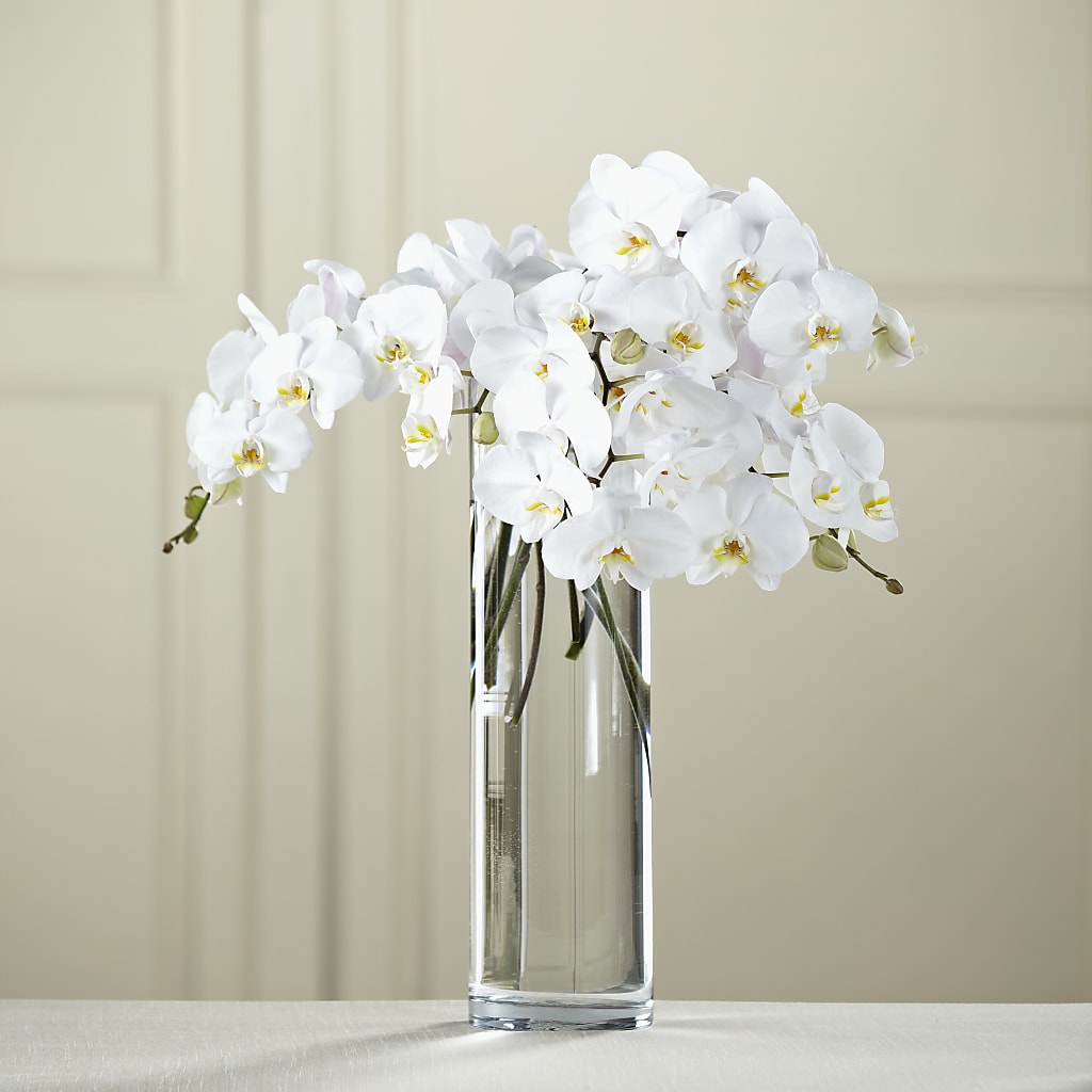 White Phalaenopsis Bouquet – Perkins Floral, Greenville MS