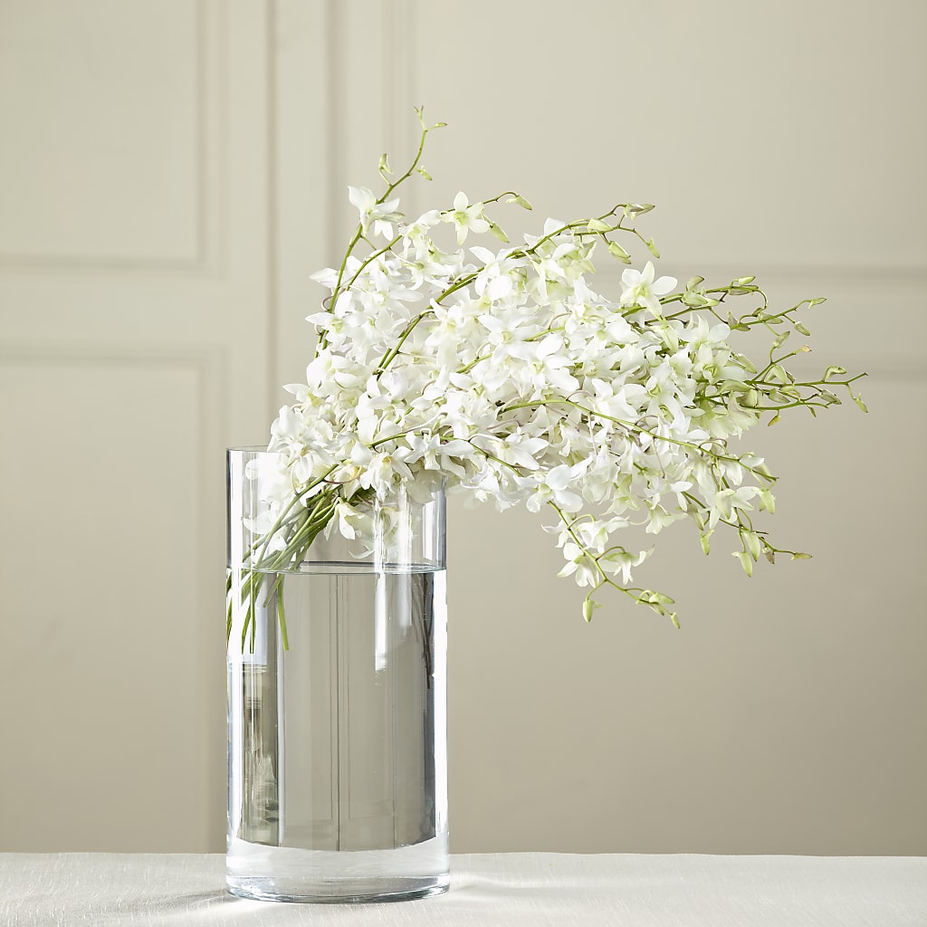 White Dendrobium Bouquet – Perkins Floral, Greenville MS