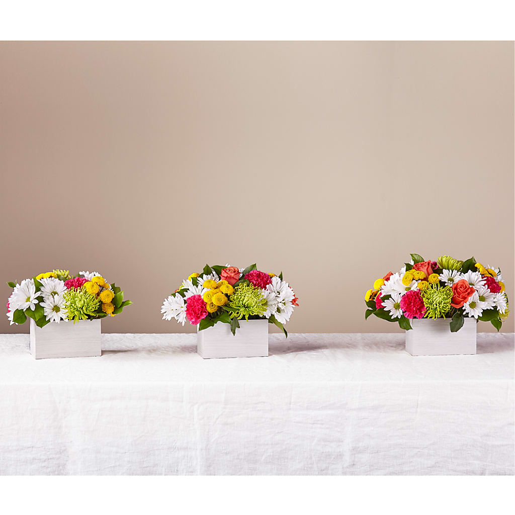 Sorbet Bouquet –  Perkins Floral, Greenville MS