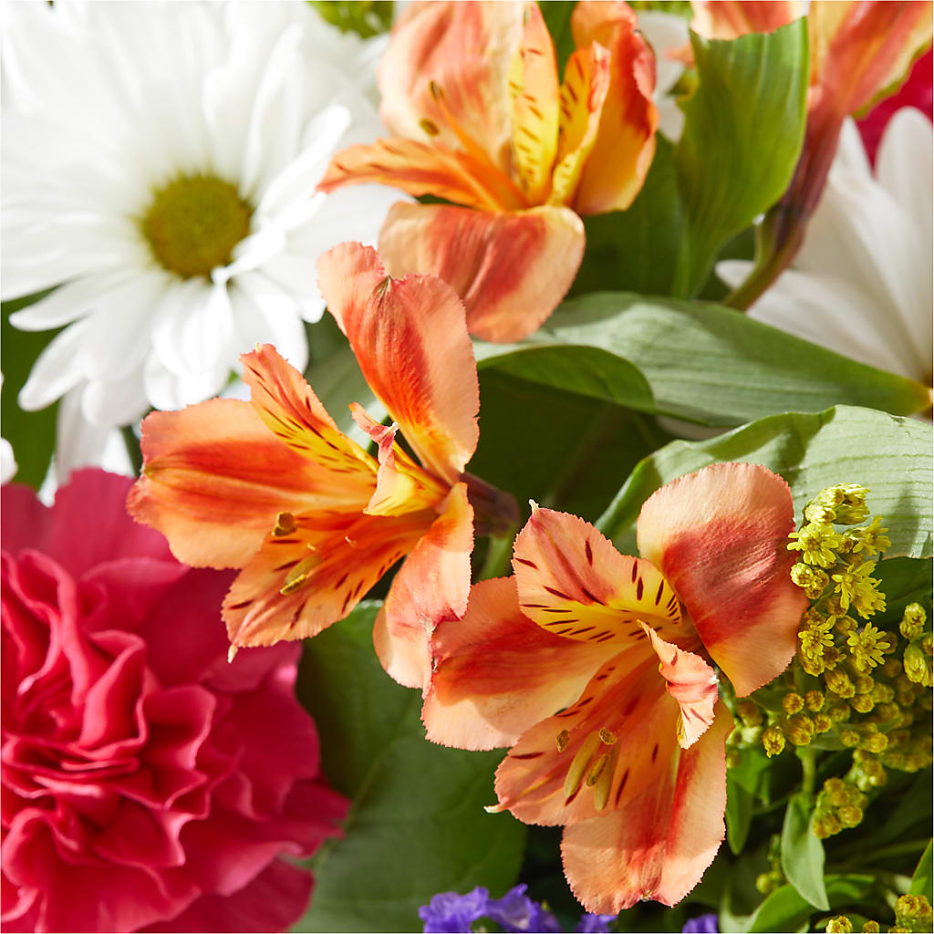 Oopsie Daisy Box Bouquet –  Perkins Floral, Greenville MS