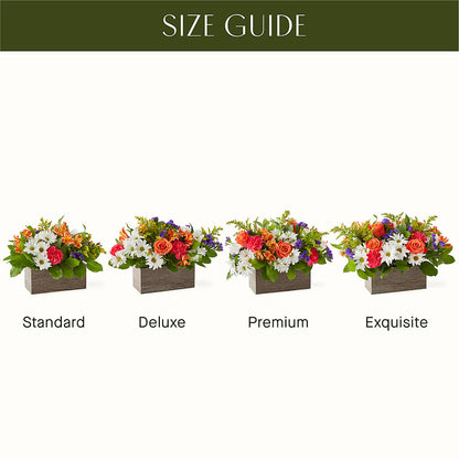 Oopsie Daisy Box Bouquet –  Perkins Floral, Greenville MS