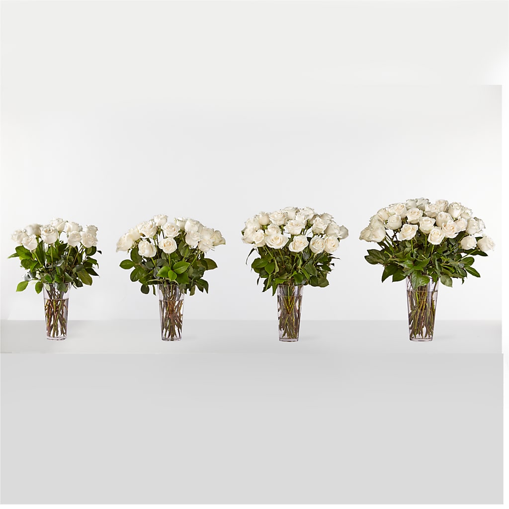 Long Stem White Rose Bouquet –  Perkins Floral, Greenville MS
