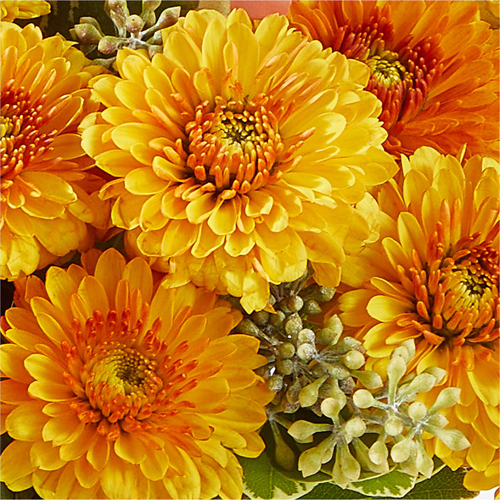 Peachy Pumpkin –  Perkins Floral, Greenville MS