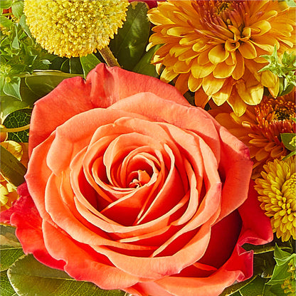 Gourdgeous Pumpkin –  Perkins Floral, Greenville MS