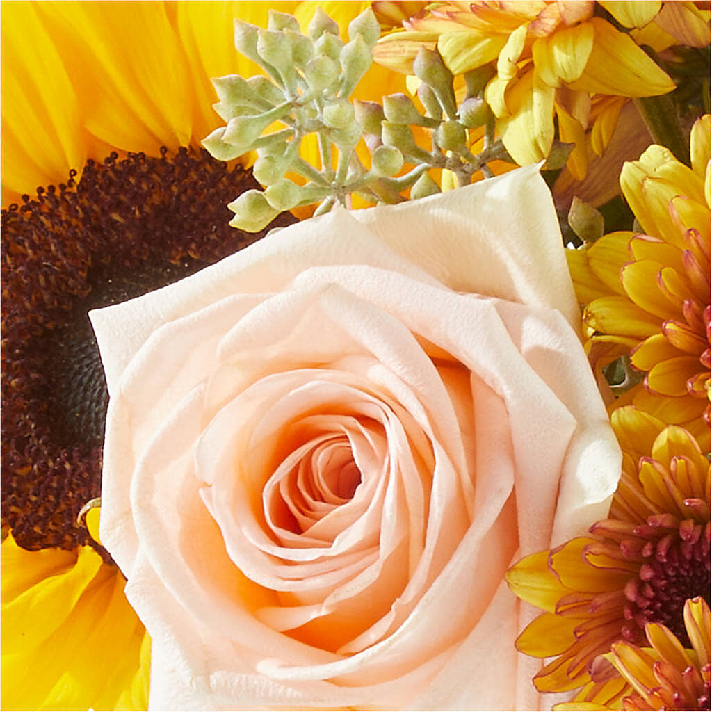 Pumpkin to Talk About Bouquet –  Perkins Floral, Greenville MS
