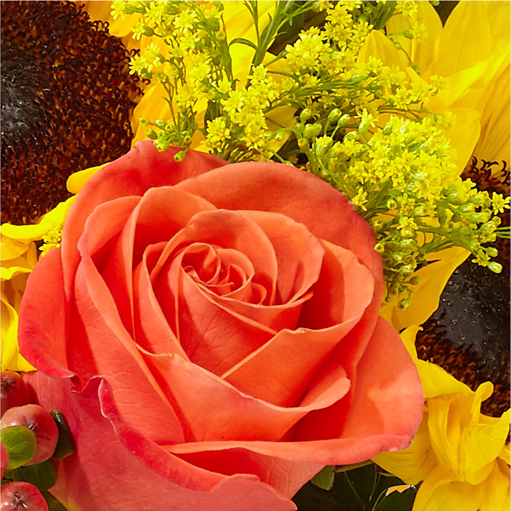 Pick of the Patch Pumpkin Bouquet –  Perkins Floral, Greenville MS