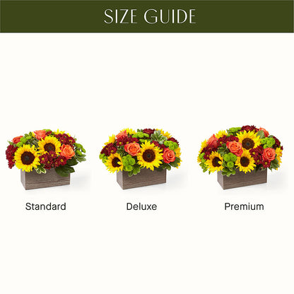 Happy Harvest Garden –  Perkins Floral, Greenville MS