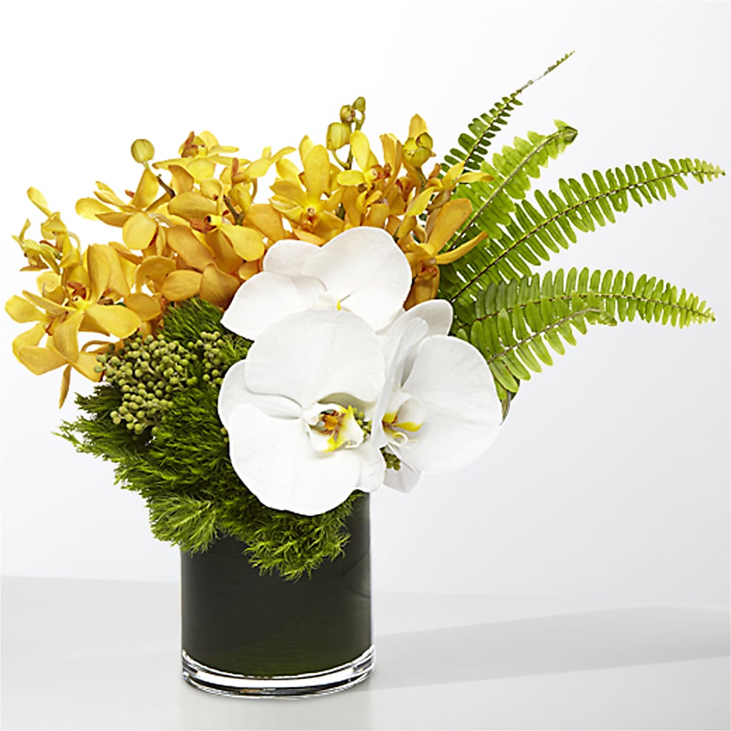 The Tropics –  Perkins Floral, Greenville MS