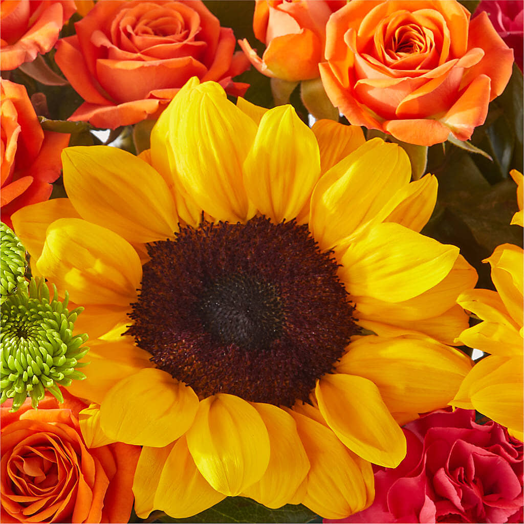 Sun-drenched Blooms Box Bouquet –  Perkins Floral, Greenville MS
