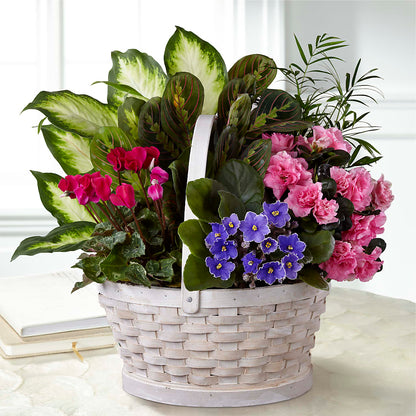 Peaceful Garden Planter –  Perkins Floral, Greenville MS