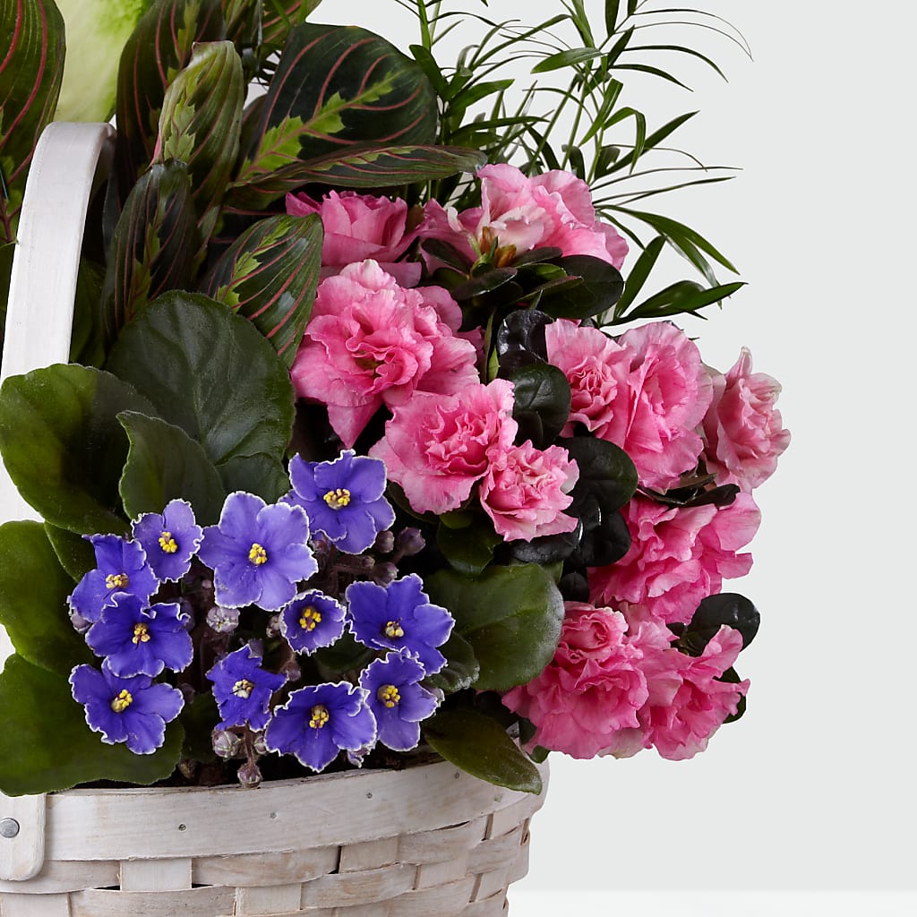 Peaceful Garden Planter –  Perkins Floral, Greenville MS