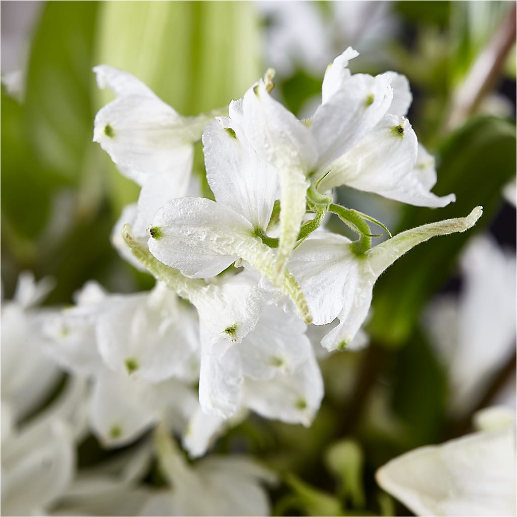 Classic Ivory – A Florist Original –  Perkins Floral, Greenville MS