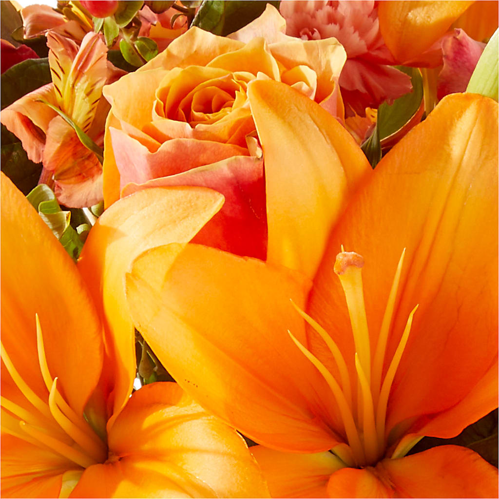 Afternoon Light Bouquet –  Perkins Floral, Greenville MS