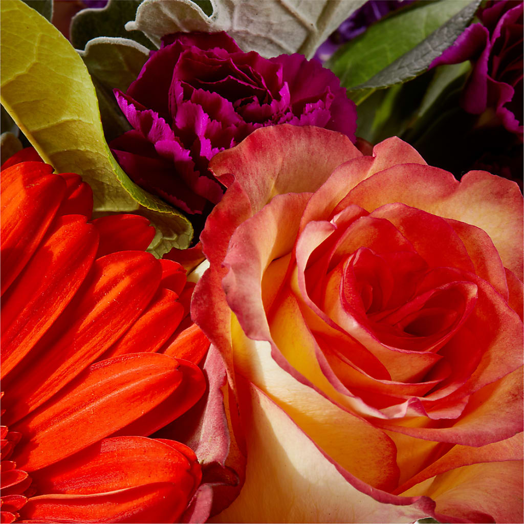 Sangria Bouquet –  Perkins Floral, Greenville MS