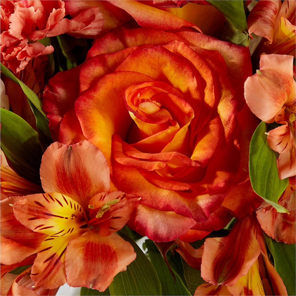 Apricot Glow Bouquet –  Perkins Floral, Greenville MS