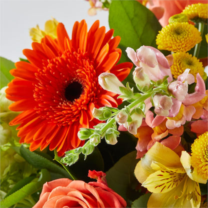 Autumn Sunshine Bouquet –  Perkins Floral, Greenville MS