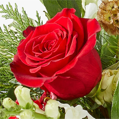 Deck the Halls Bouquet –  Perkins Floral, Greenville MS