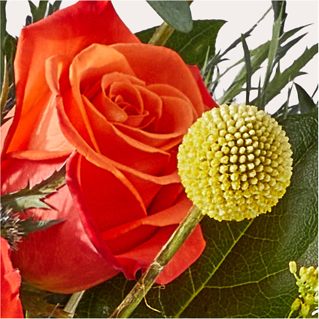 Disco Bouquet –  Perkins Floral, Greenville MS