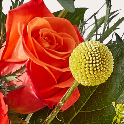 Disco Bouquet –  Perkins Floral, Greenville MS