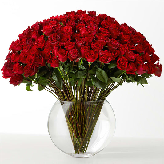 The Idealist –  Perkins Floral, Greenville MS
