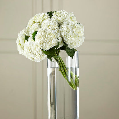 White Hydrangea Hand-Tied Bouquet –  Perkins Floral, Greenville MS
