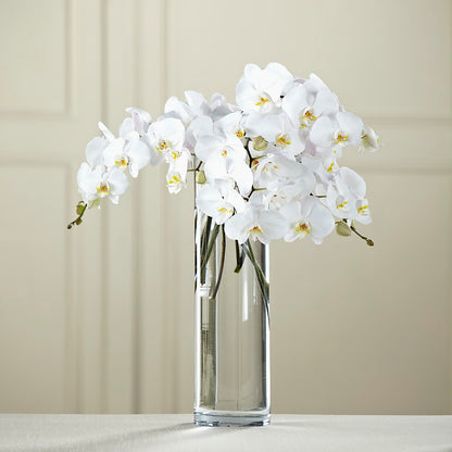 White Phalaenopsis Bouquet –  Perkins Floral, Greenville MS